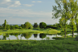 Madarsko RGC Balaton 1 250