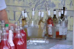vinobrani 4 250
