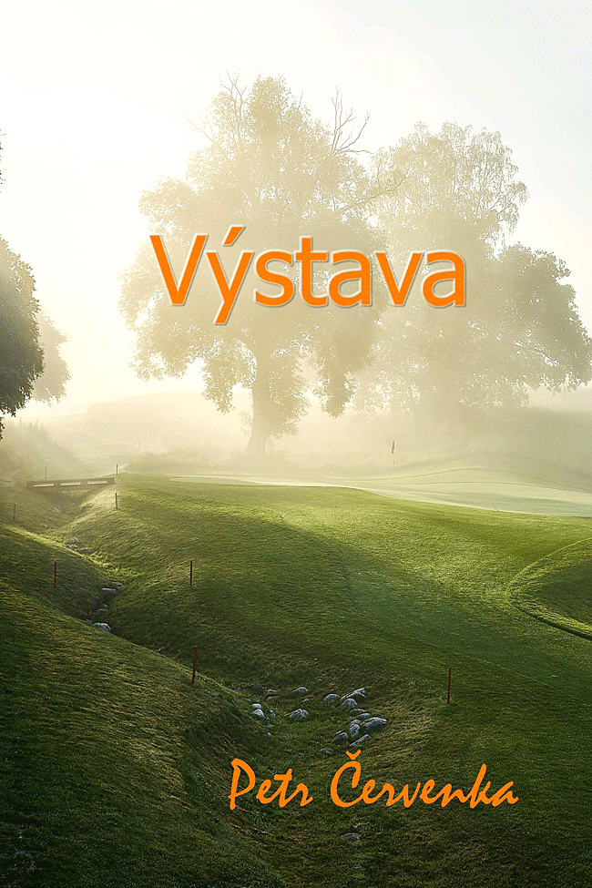vystava-cervenka-650