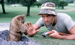 f-murray-caddysh-250