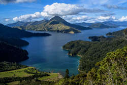 novy-zeland-il1-250