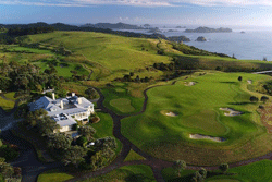 nz-kauri-cliffs-250
