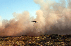 fire australia reuters 250