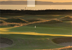 Prestwick-250