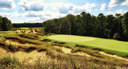 Pine-Valley-05-250