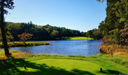 Pine-Valley-15-250