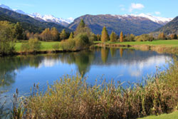 Rak Lungau