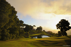 Madeira-Palheiro-250