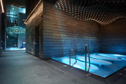 capi-hnizdo-wellness-250