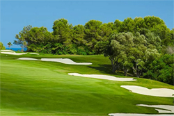 valderrama-250