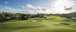 M-Golf-LInks8-250