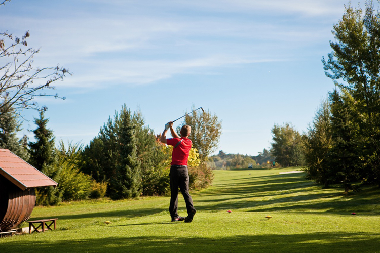 Horehledy-golf8-750
