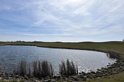 vinor-lake-sluka-250