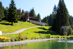 bergland-course2-250