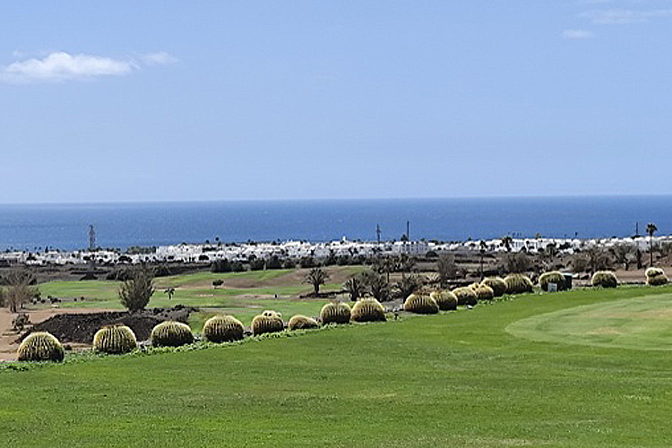 lanzarote-more-750
