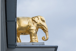 elefant-elefant-250