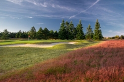 Darovanský dvůr a jeho nabídka ročního členství