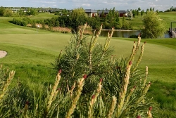 Vánoce na golfu na Černém Mostě