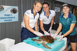 Sára Kousková z Australie