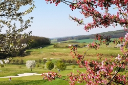 Kaskáda oznámila otevření Kamenné devítky