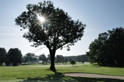 Zahrajte si ve středu 6. května na Barboře s časopisem Golf za zvýhodněné fee 800 Kč!