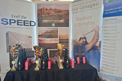 ogs-kaskada-ceny-250