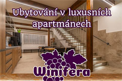 winifera-ubyt-250