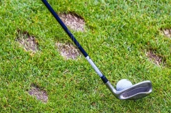 O čem se vedou v golfu diskuse? Třeba o divotech na ferveji nebo o gimmie