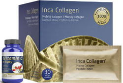 ogs-Inca 250