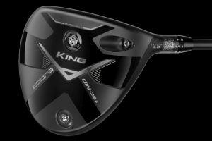 Cobra: Vyztužení bagu od nejdelších holí